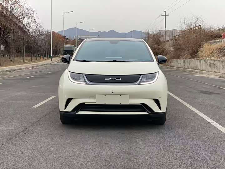 Фото 2 - BYD Dolphin