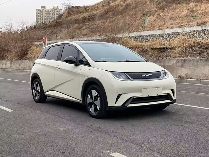 Фото 3 - BYD Dolphin