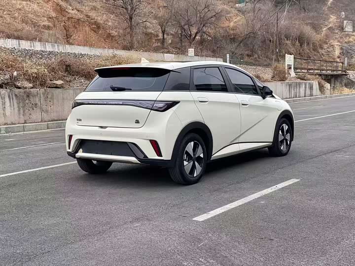 Фото 4 - BYD Dolphin