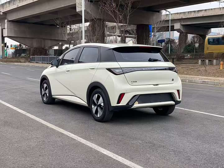 Фото 6 - BYD Dolphin