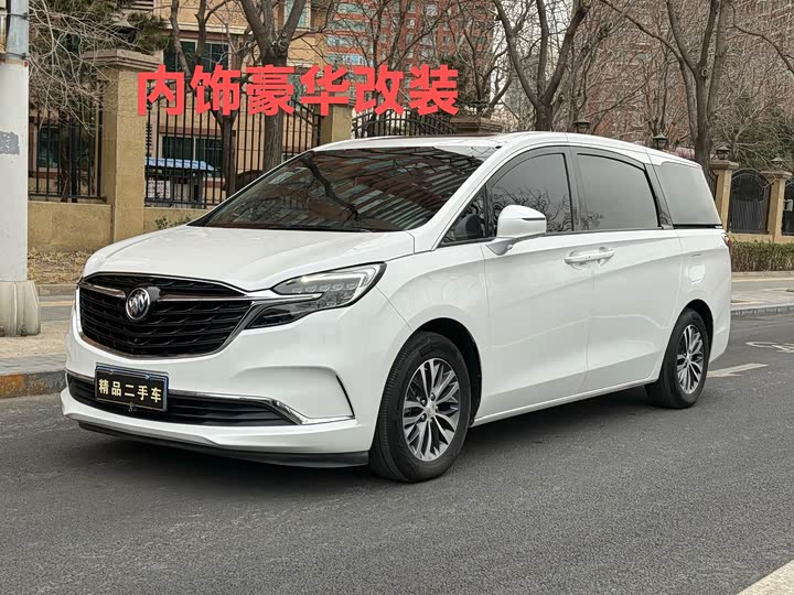 Фото 1 - Buick GL8 ES