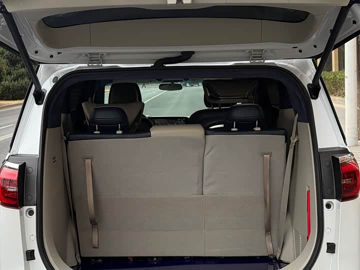 Фото 28 - Buick GL8 ES