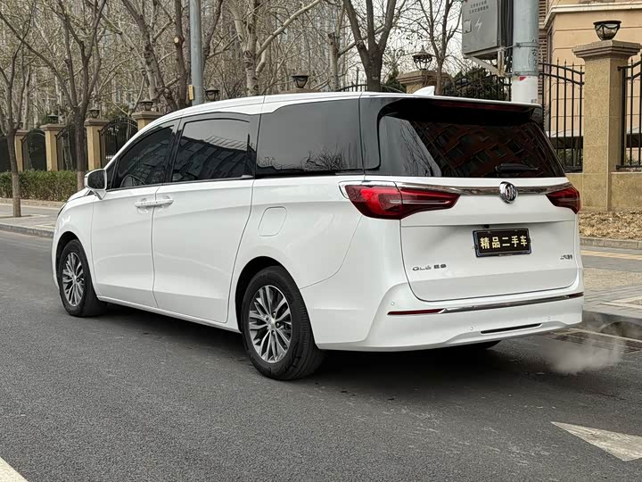 Фото 31 - Buick GL8 ES