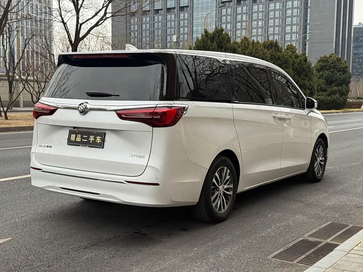 Фото 32 - Buick GL8 ES