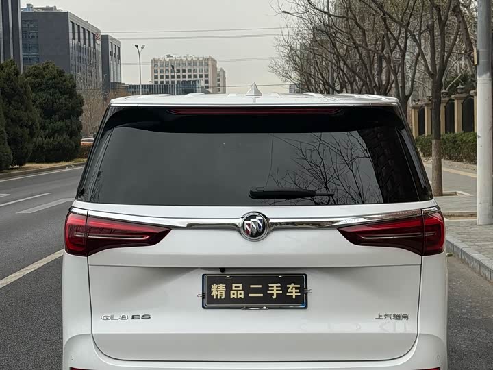 Фото 33 - Buick GL8 ES