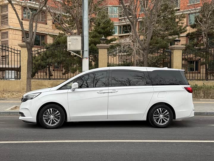 Фото 6 - Buick GL8 ES