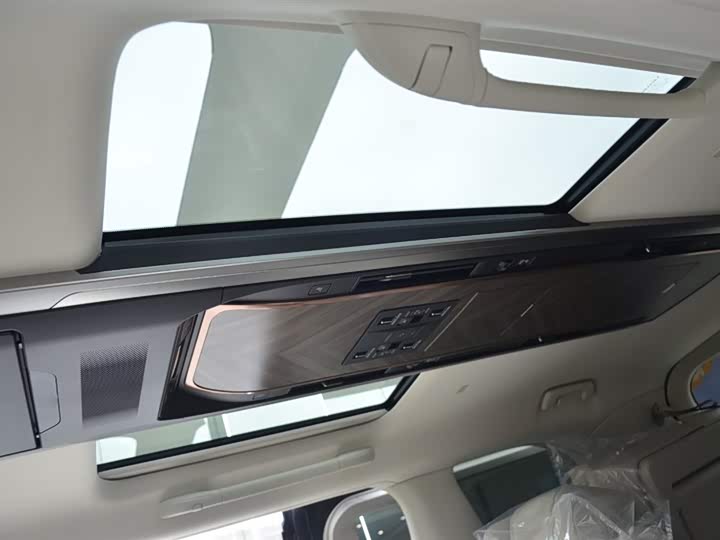 Фото 11 - Lexus LM