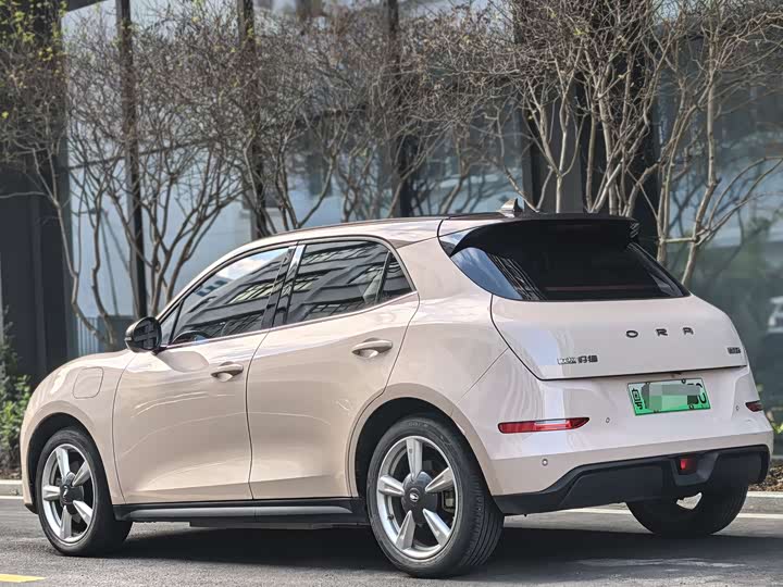 Фото 5 - Ora Good Cat (03)