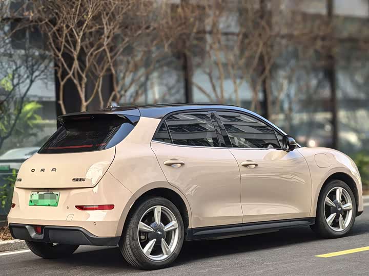 Фото 8 - Ora Good Cat (03)