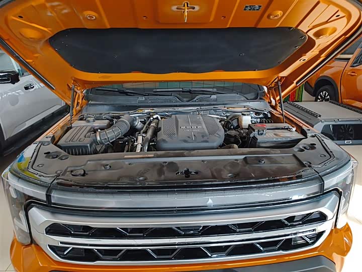 Фото 10 - Dongfeng Z9