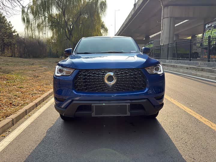 Фото 1 - Great Wall Pao