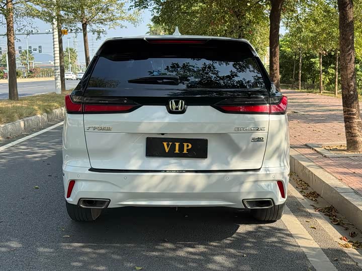 Фото 3 - Honda Breeze