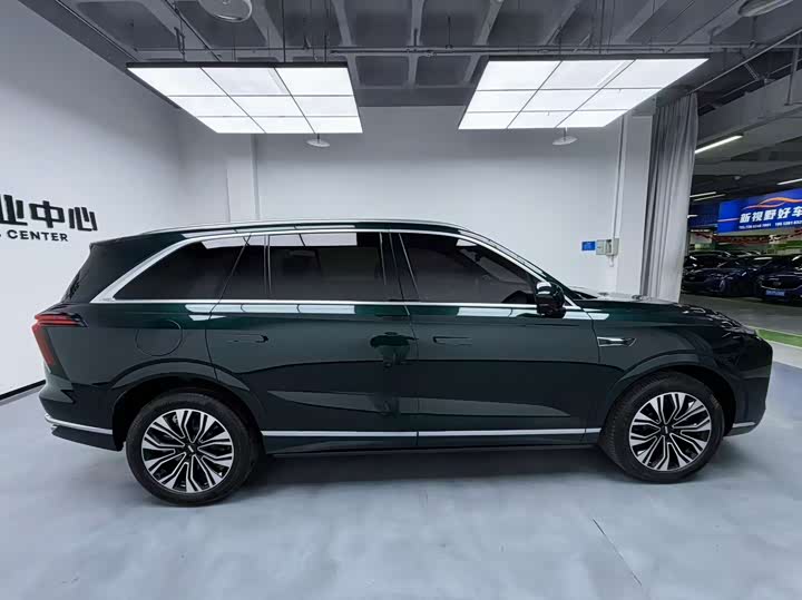 Фото 11 - Wey Lanshan