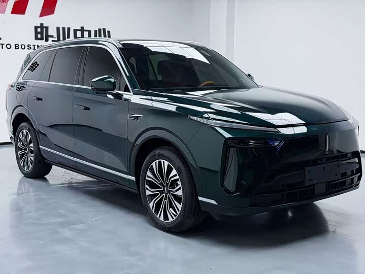 Фото 13 - Wey Lanshan