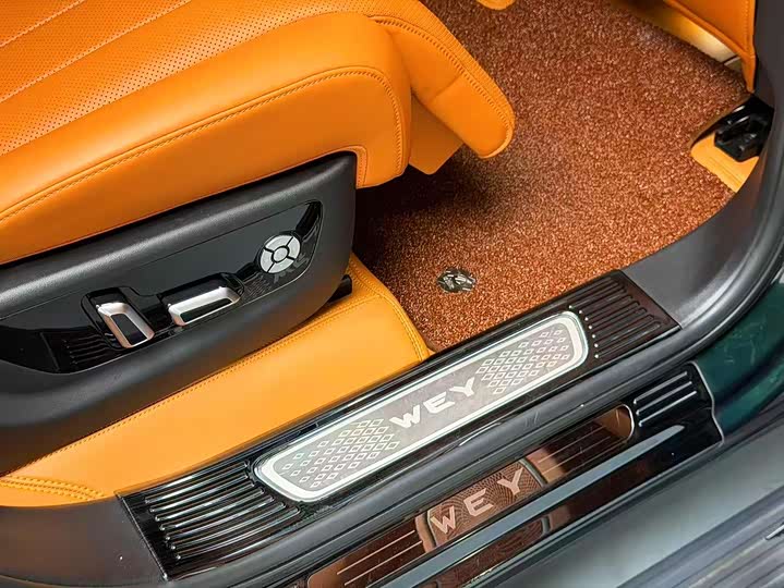 Фото 9 - Wey Lanshan