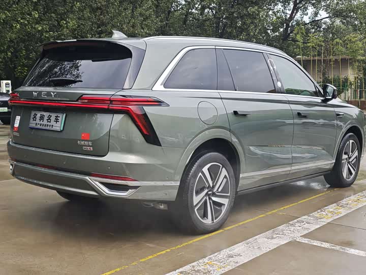 Фото 6 - Wey Lanshan