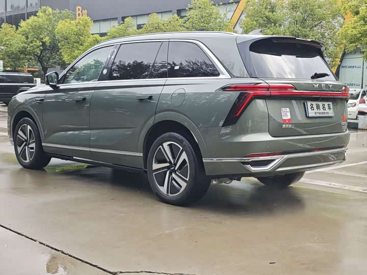 Фото 7 - Wey Lanshan