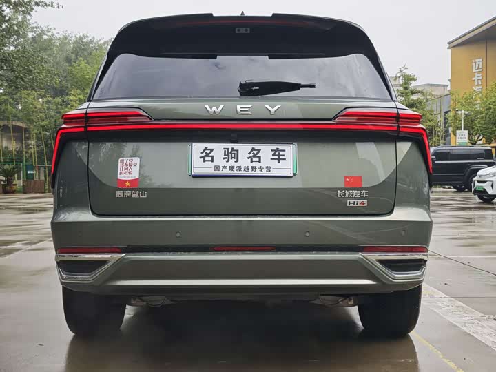 Фото 8 - Wey Lanshan