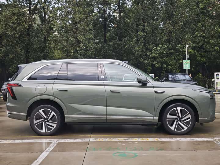 Фото 9 - Wey Lanshan