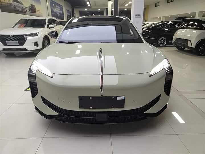 Фото 3 - Hongqi EH7