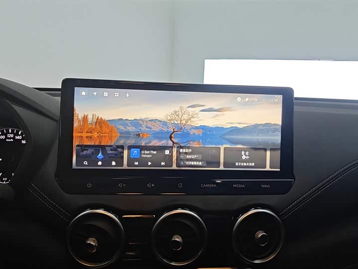 Фото 13 - Nissan Sylphy