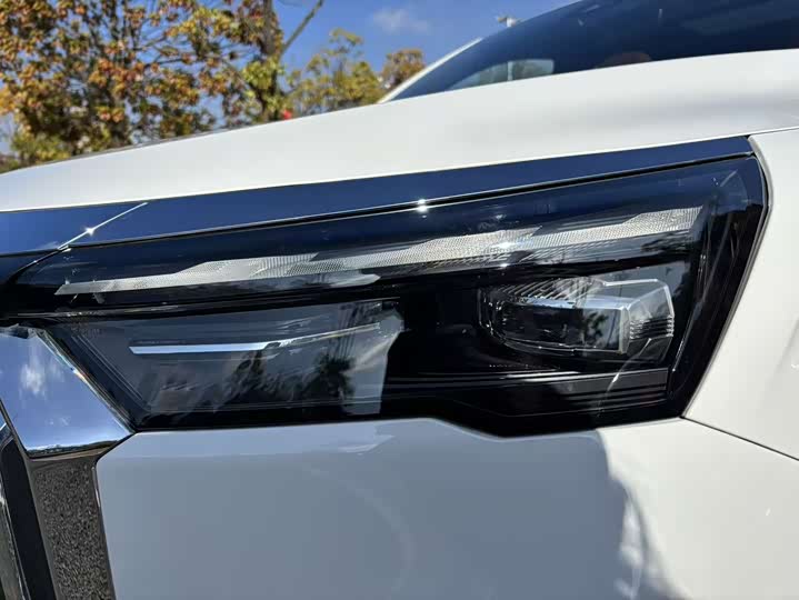 Фото 10 - Geely Okavango L