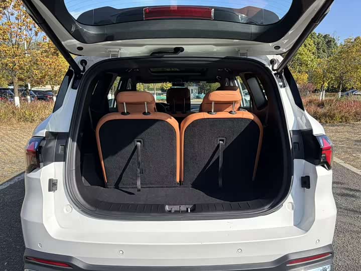 Фото 31 - Geely Okavango L