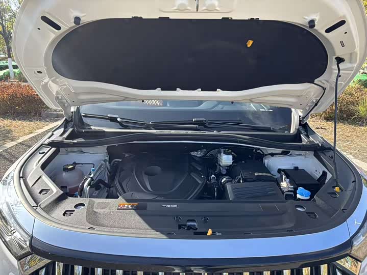 Фото 32 - Geely Okavango L