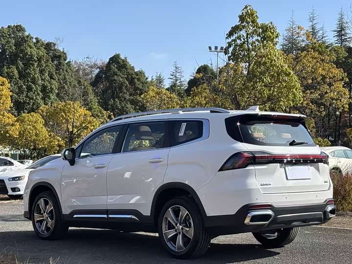 Фото 6 - Geely Okavango L