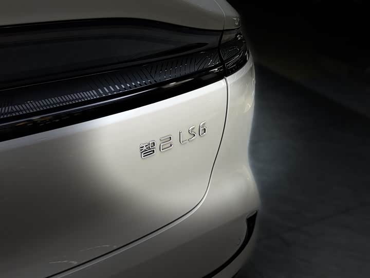 Фото 15 - IM motors LS6