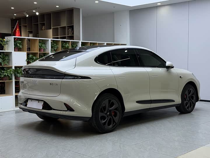 Фото 16 - IM motors LS6