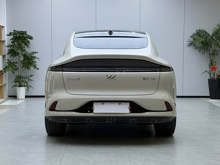 Фото 17 - IM motors LS6