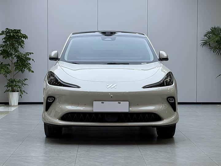 Фото 2 - IM motors LS6