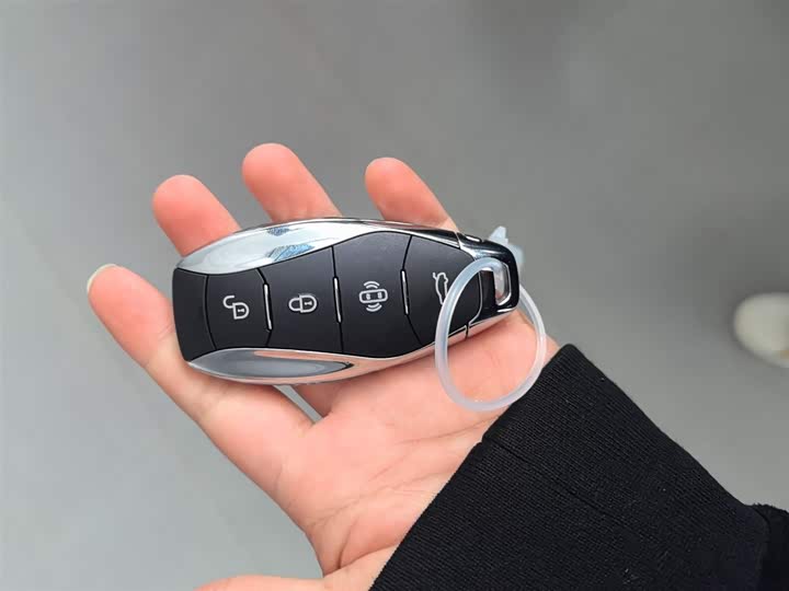 Фото 9 - Hongqi HS3 Hybrid