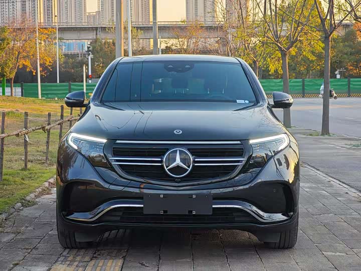 Фото 2 - Mercedes-Benz EQC