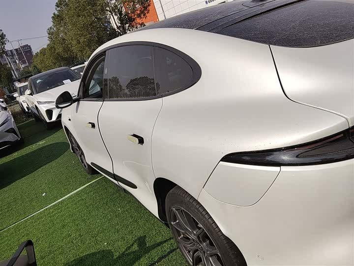 Фото 5 - IM motors LS6