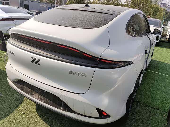 Фото 7 - IM motors LS6