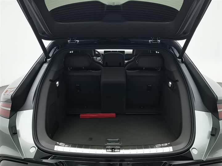 Фото 16 - Denza Z9GT