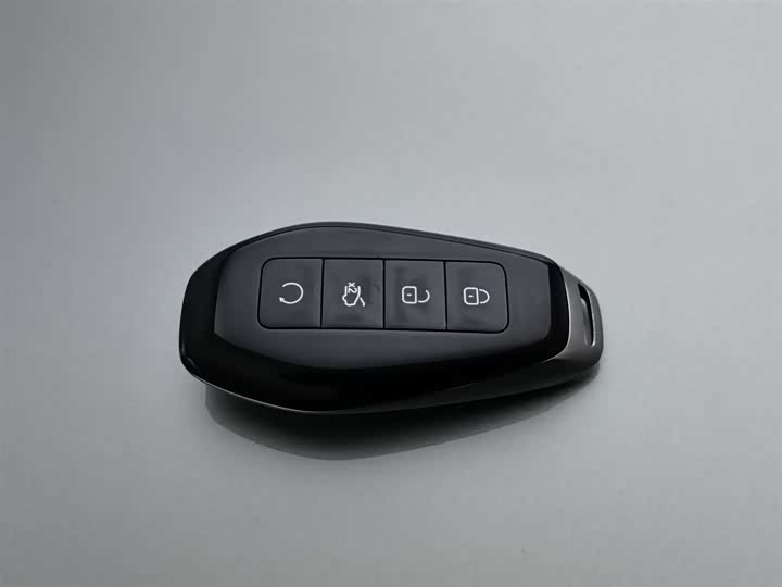 Фото 19 - Denza Z9GT