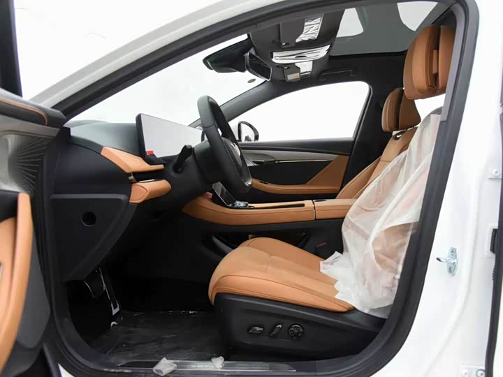 Фото 7 - Voyah Passion