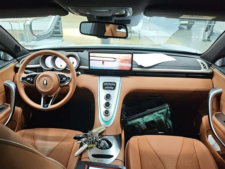 Фото 10 - Ora Lightning Cat (07)