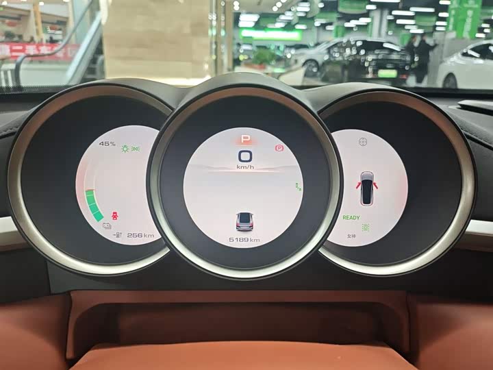 Фото 12 - Ora Lightning Cat (07)