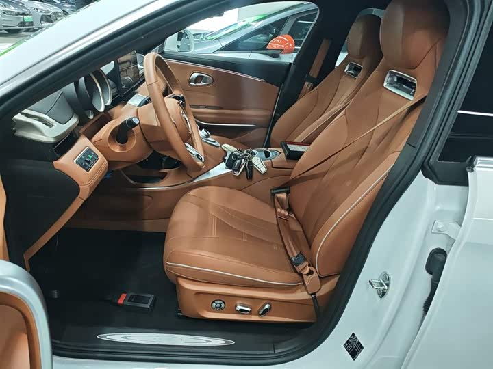 Фото 15 - Ora Lightning Cat (07)