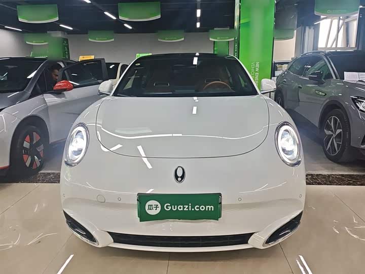 Фото 3 - Ora Lightning Cat (07)