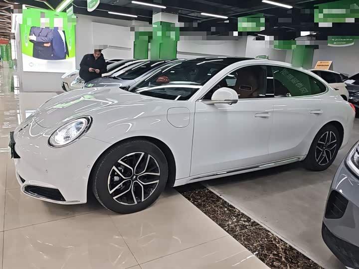 Фото 5 - Ora Lightning Cat (07)