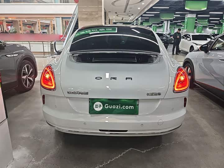 Фото 6 - Ora Lightning Cat (07)