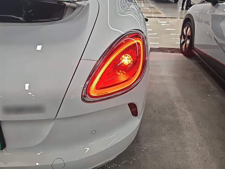 Фото 8 - Ora Lightning Cat (07)