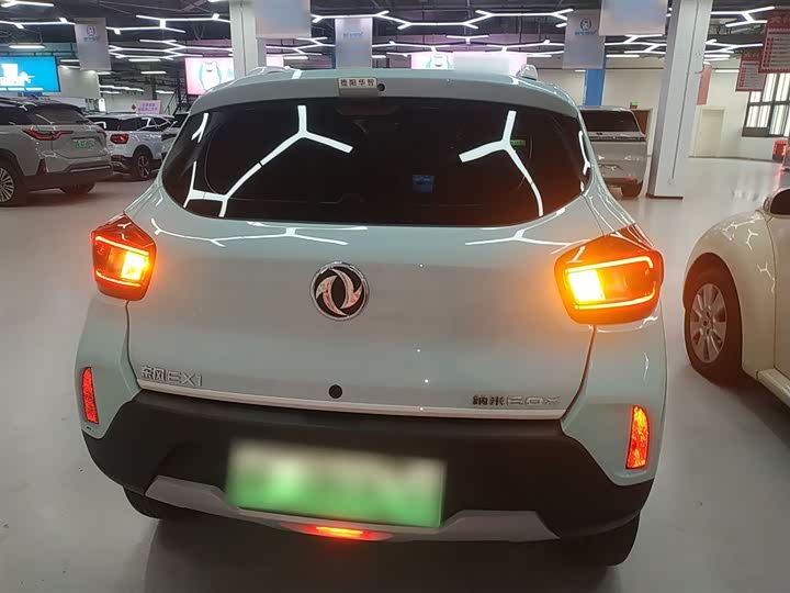 Фото 6 - Dongfeng Nammi Nano EX1