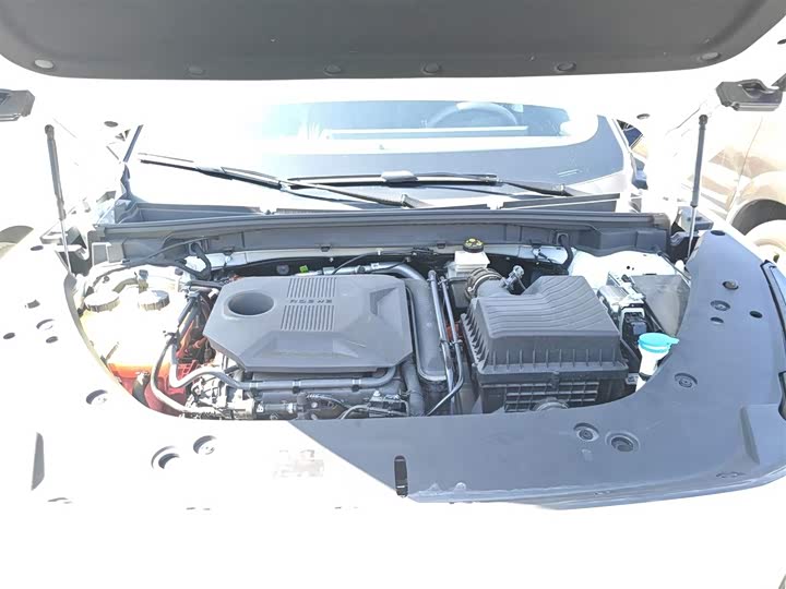 Фото 10 - Roewe D5X DMH