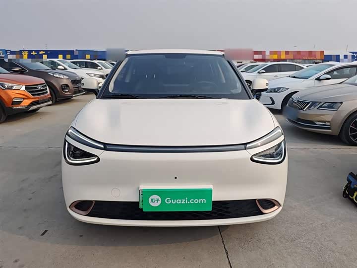 Фото 3 - Dongfeng Nammi 01